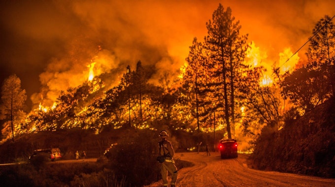Ein typisches Bild aus Kalifornien: Wälder stehen in Flammen, die Feuerwehr ist im Dauereinsatz.
