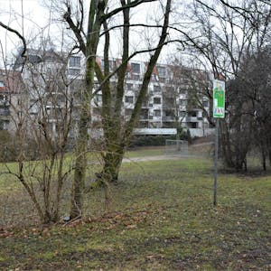 Grünfläche am Rand von Marienburg