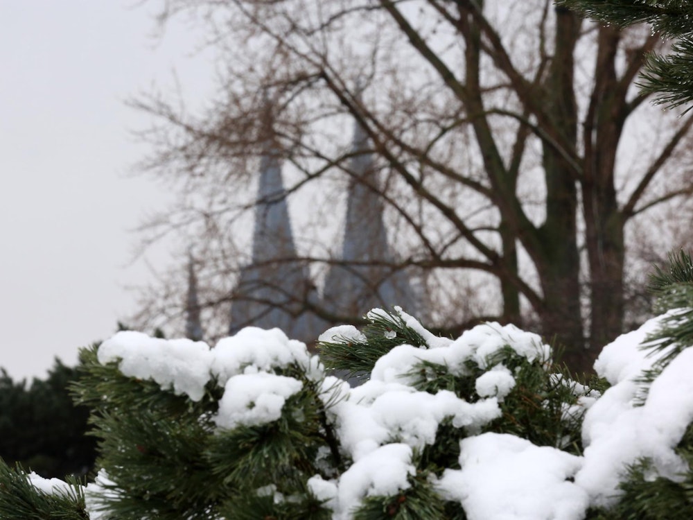 Ein Polarwirbel sorgte bereits im Januar 2021 für Schnee in Köln.