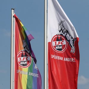 Fahnen 1. FC Köln Symbolbild