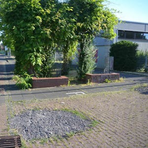 Viele Grünflächen, wie hier vor der Gesamtschule, sollten laut Planung verschwinden. Dies lehnen die Fraktionen ab.