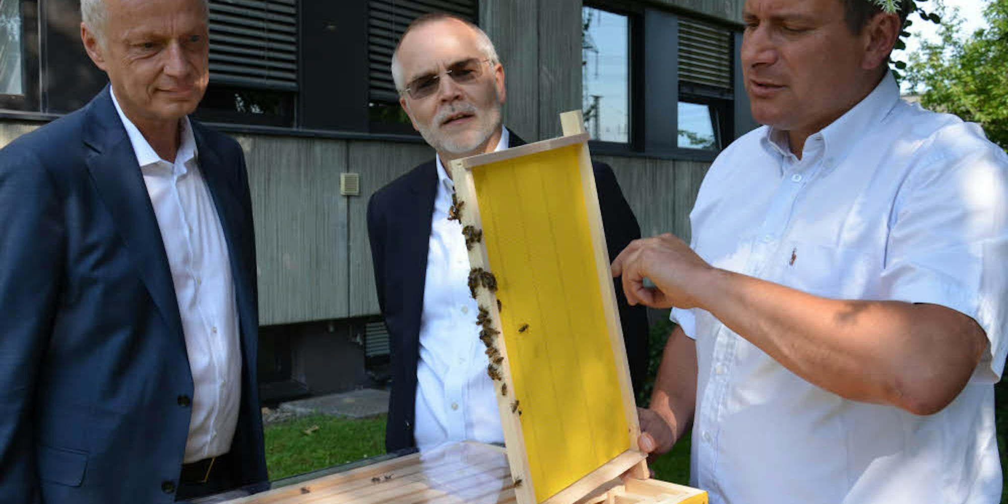 Frank Weiß (r.) erklärt den Rheingas-Geschäftsführern Uwe Thomsen (l.) und Hubert Peters den Bienenstock.