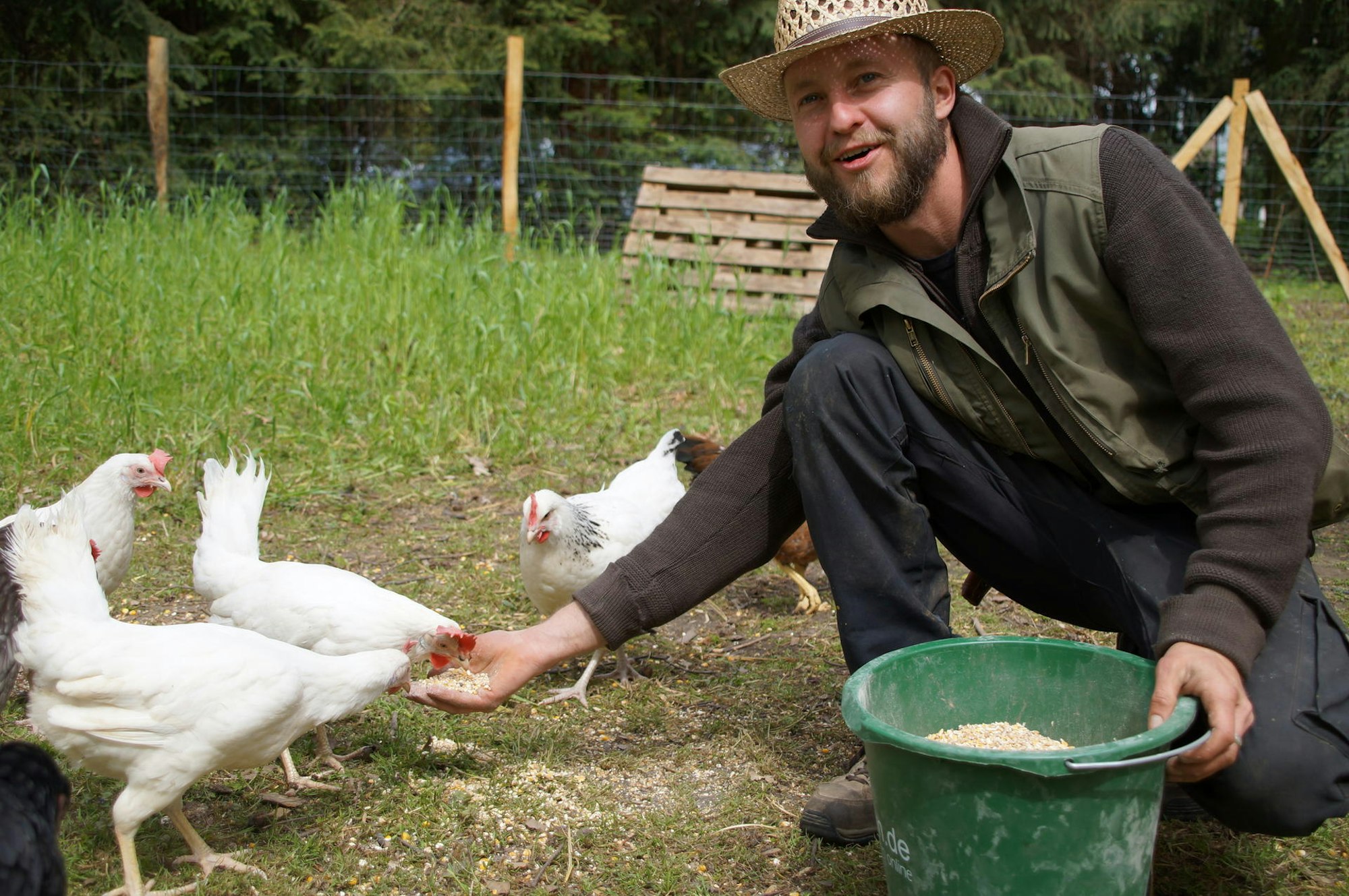 Mit viel Engagement und Leidenschaft kümmert sich Jakob Averbeck um die neuen Hühner im „Gezeiten Haus“.