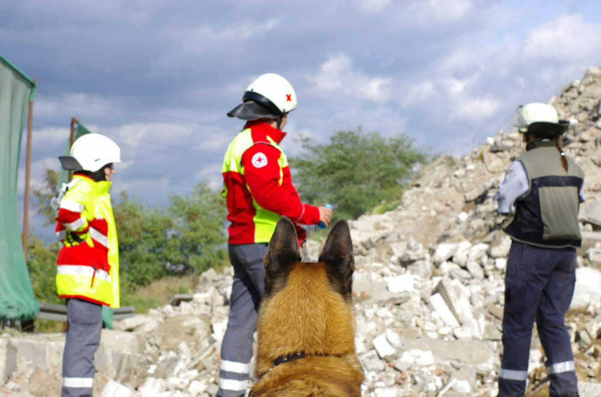 Einige Hunde sind speziell dafür geschult, Menschen unter Trümmern zu finden.