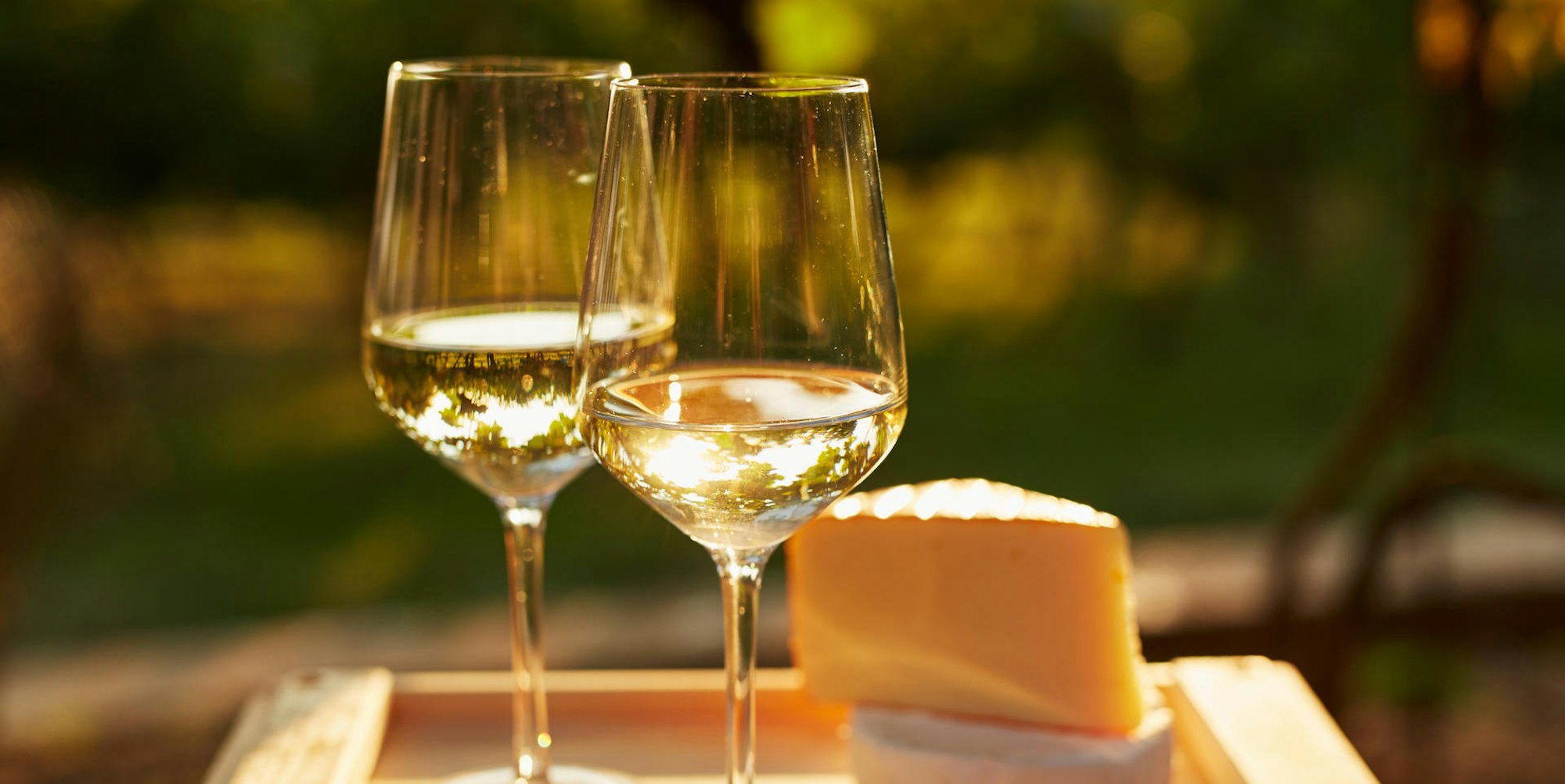 weißwein mit käse alpines weinvergnügen