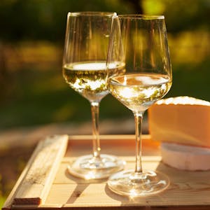 weißwein mit käse alpines weinvergnügen