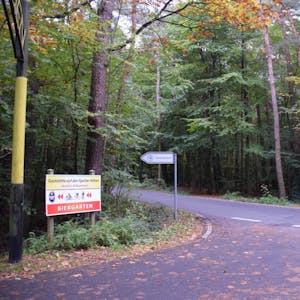 Gegenüber dem Sportpark an der Asselbachstraße liegt die etwa zwei Hektar große Fläche, die für den KIetterpark ausgewählt wurde.