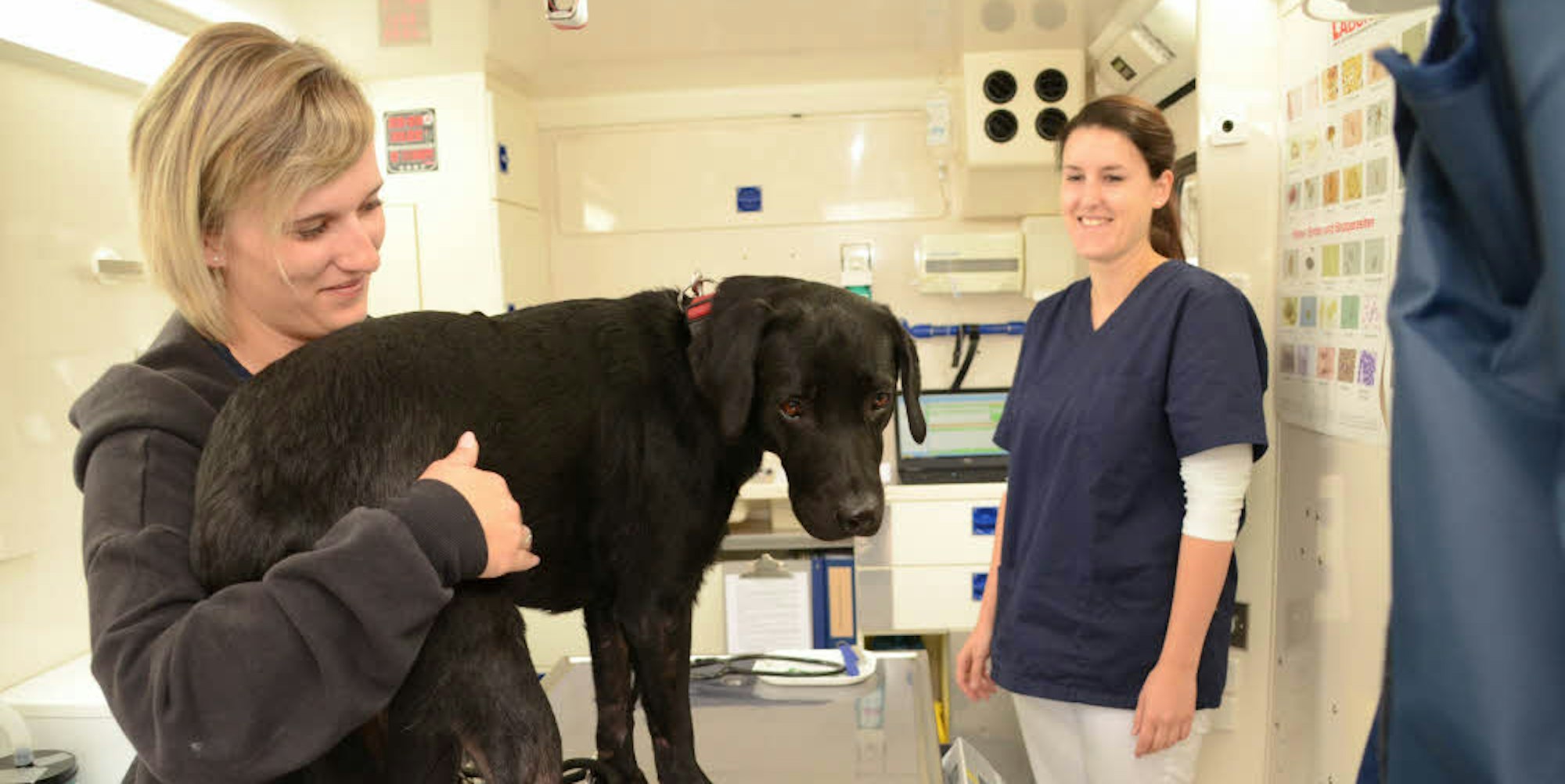 Allergische Probleme hat Labradorhündin Amy, die mit Besitzerin Jana Weber zu Dr. Gohres in die mobile Praxis kommt.