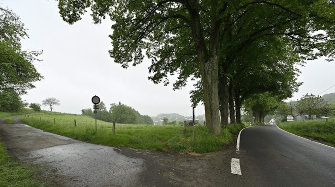 Das Bild zeigt den Standort des neuen Gerätehauses der Feuerwehr Kürten-Olpe. Im Bild ist die Landstraße mit den Alleebäumen zu erkennen.