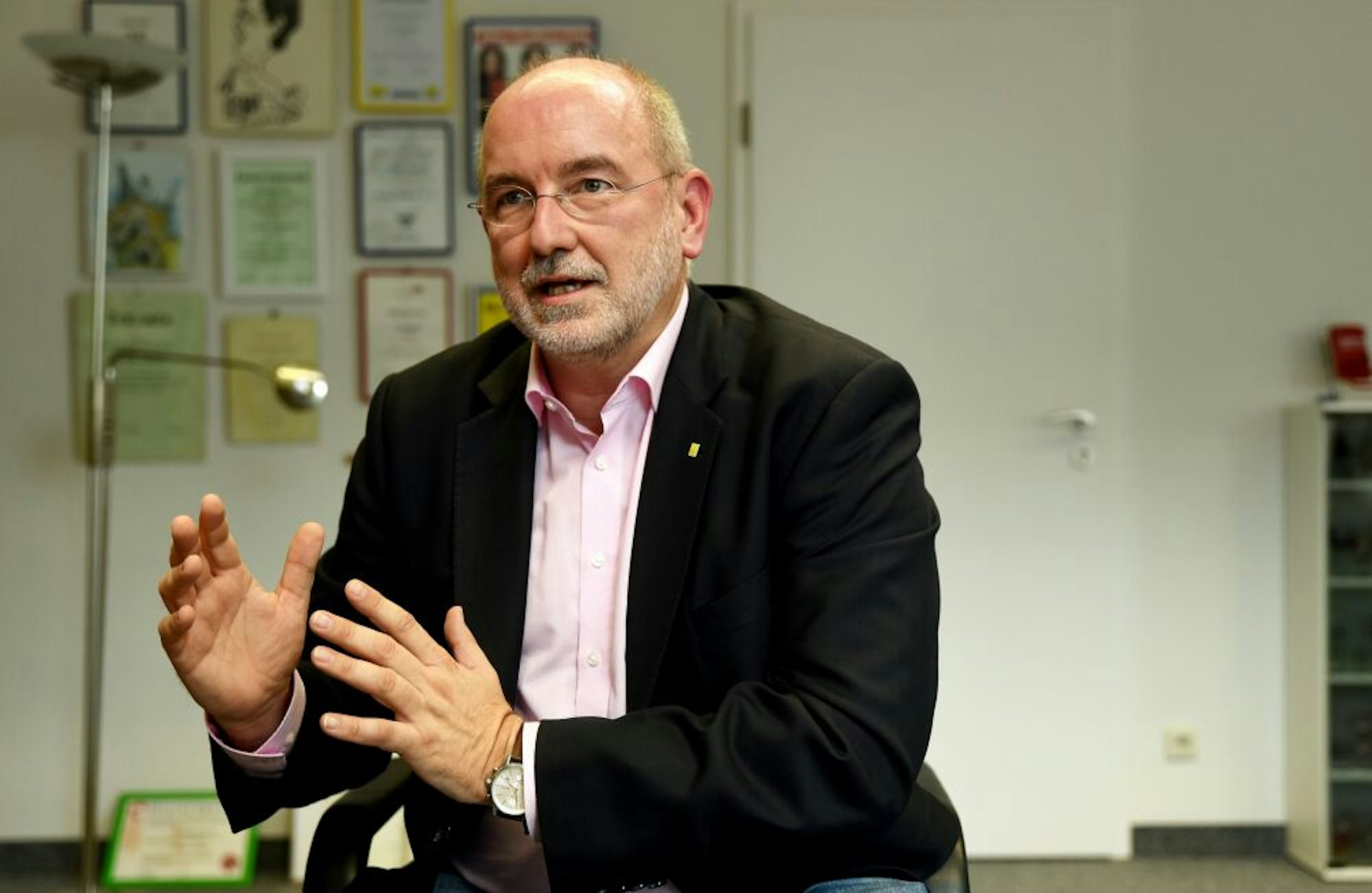 Ralph Sterck, FDP