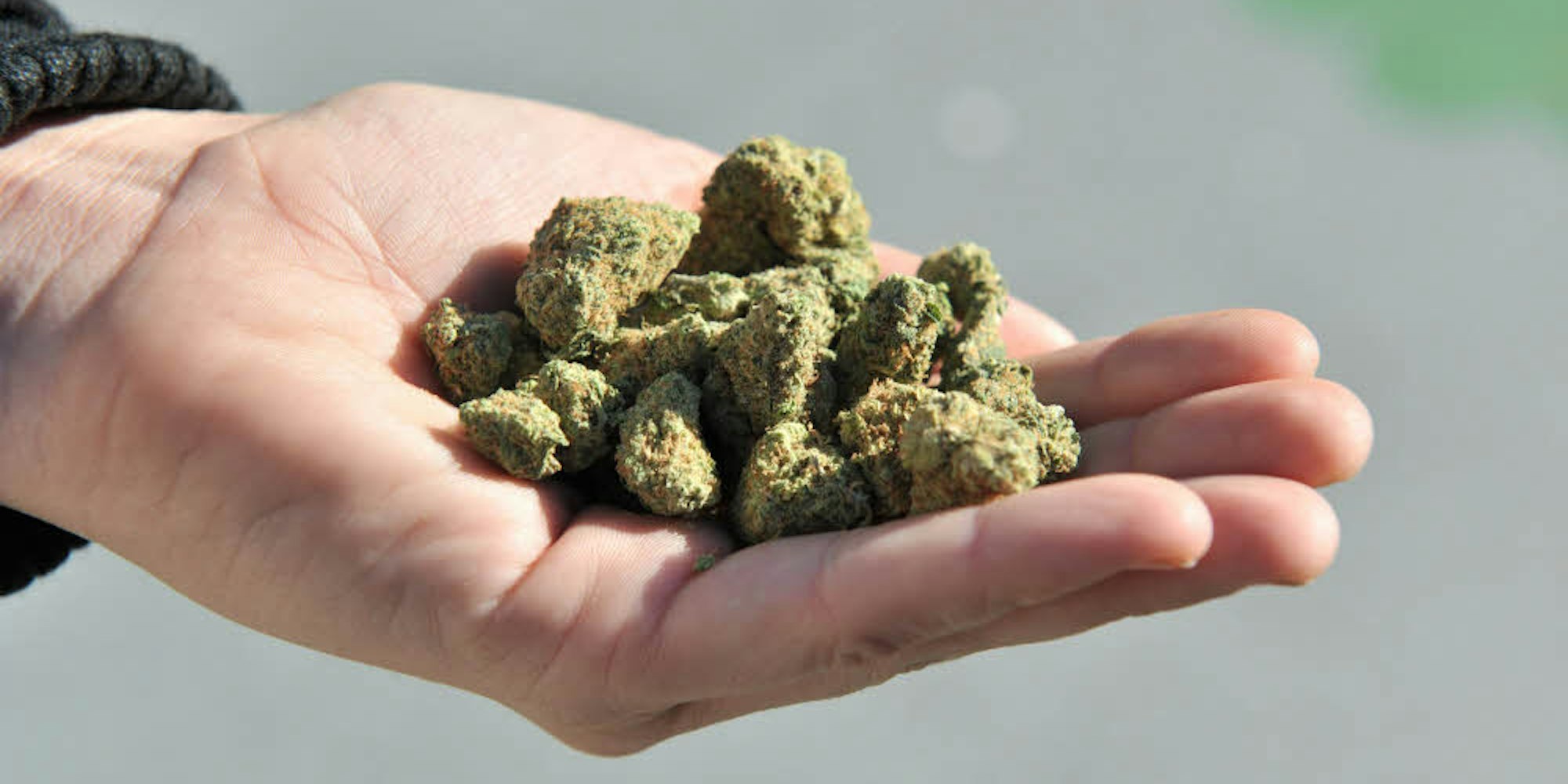 Cannabisblüten – für viele eine sinnvolle Ergänzung zu herkömmlichen pharmazeutischen Produkten.