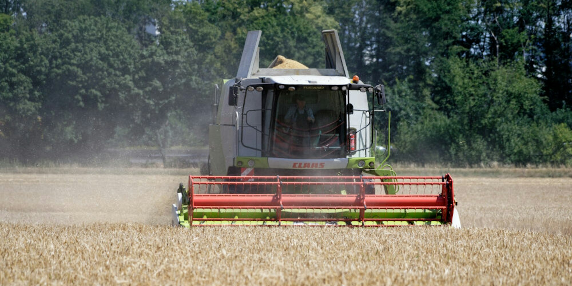 Getreideernte auf einem Feld bei Dormagen: Die anhaltende Trockenheit macht den Landwirten in NRW zu schaffen.