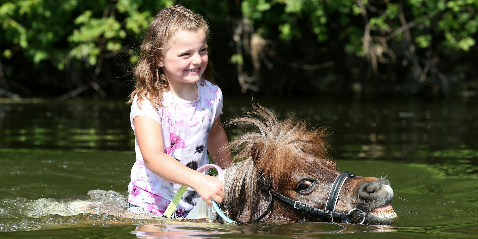 Erfrischung im Wasser mit Pony dpa