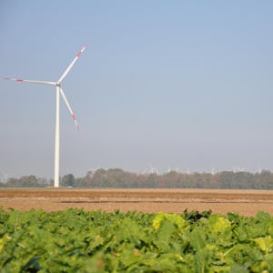 Nieder- und Oberembt sind bei Windradbetreibern beliebt.
