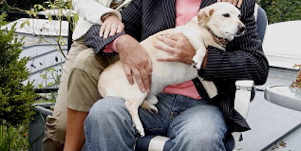 Erik Silvester vor zwei Jahren mit seiner Frau Marlene und Mischlingshund Robby.
