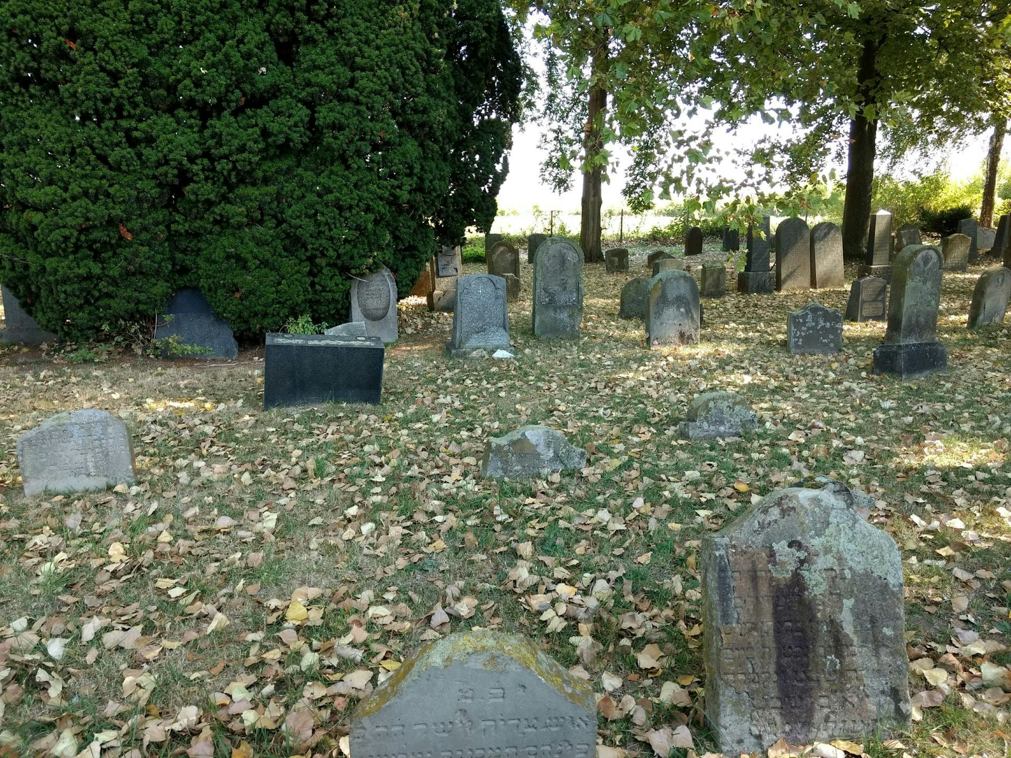 Jüdischer Friedhof in Bonn-Beuel Peter Seidel