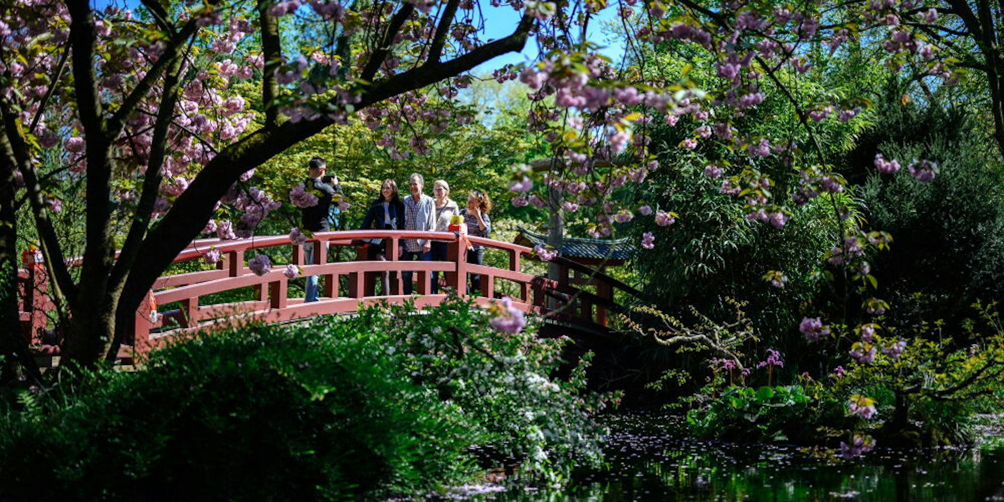 Perfekte Fotokulisse: Der japanische Garten in Flittard. 