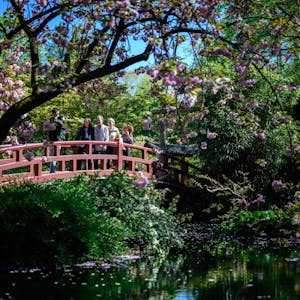 Perfekte Fotokulisse: Der japanische Garten in Flittard. 