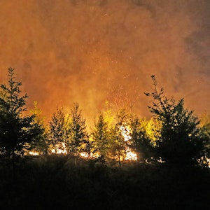 Zwischen Bäumen lodern Flammen und Qualm steigt auf.