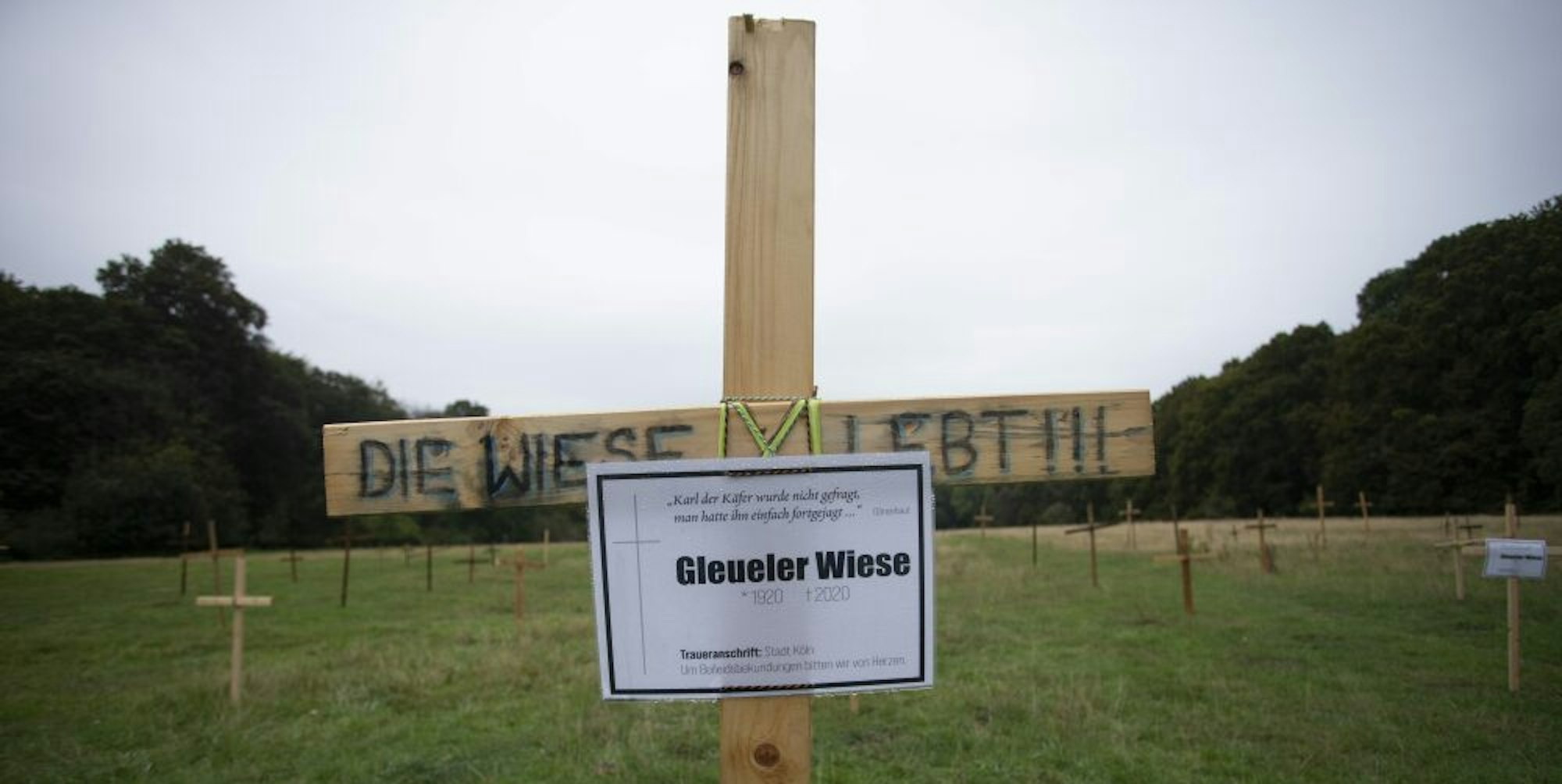 Holzkreuze haben Unbekannte als Protest gegen die Ausbaupläne des FC Köln auf den Gleueler Wiesen aufgestellt.