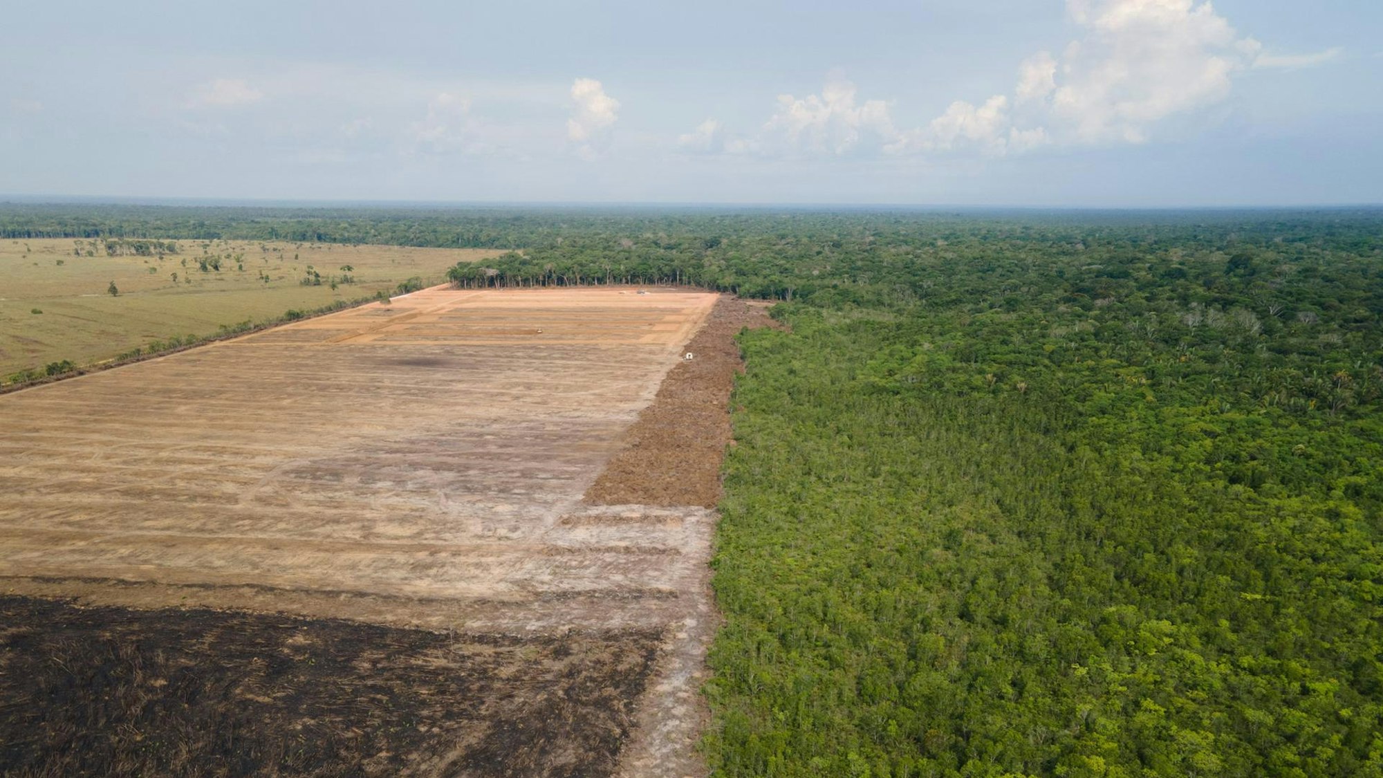 Gerodete Fläche im Amazonas-Regenwald aus der Luft.