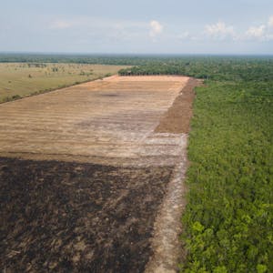 Gerodete Fläche im Amazonas-Regenwald aus der Luft.