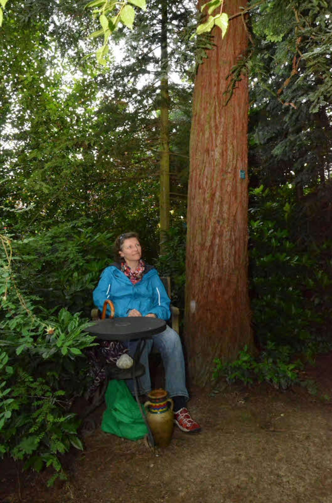 Besucherin Sabine Fröhlich aus Lindlar sitzt trotz starken Regens im Trockenen: So dicht gewachsen ist der Forstbotanische Garten des Ehepaares Scheplitz in Waldbröl.