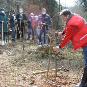 Wie die Bäumchen mit Verbiss-Schutz richtig gepflanzt werden, zeigte Projektleiter Jürgen Jenniges.