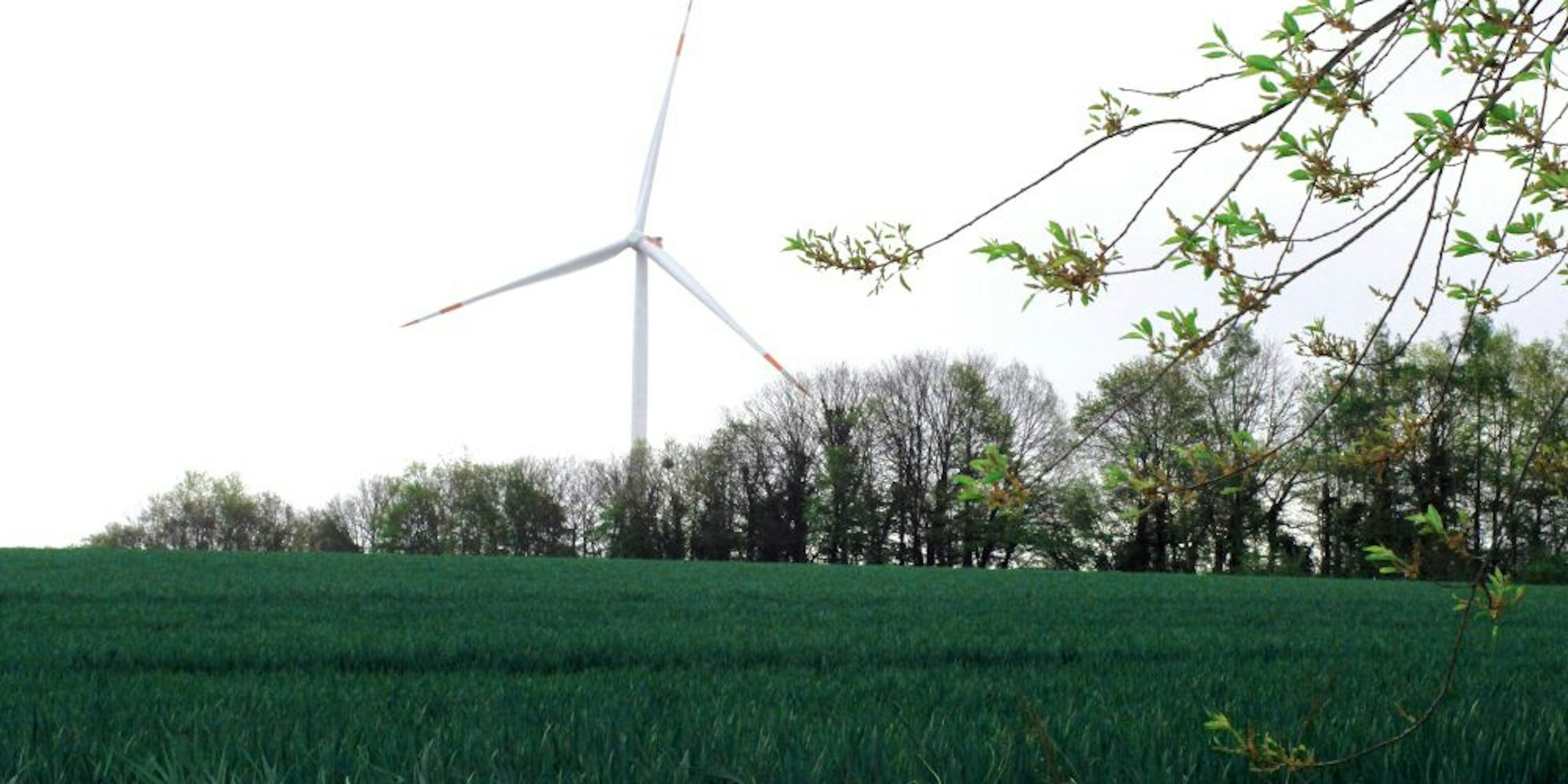 Die Konzentrationszone für Windkraftanlage auf der Fischbachhöhe befindet sich in einem Landschaftsschutzgebiet.