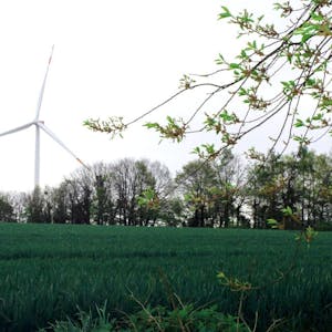 Die Konzentrationszone für Windkraftanlage auf der Fischbachhöhe befindet sich in einem Landschaftsschutzgebiet.