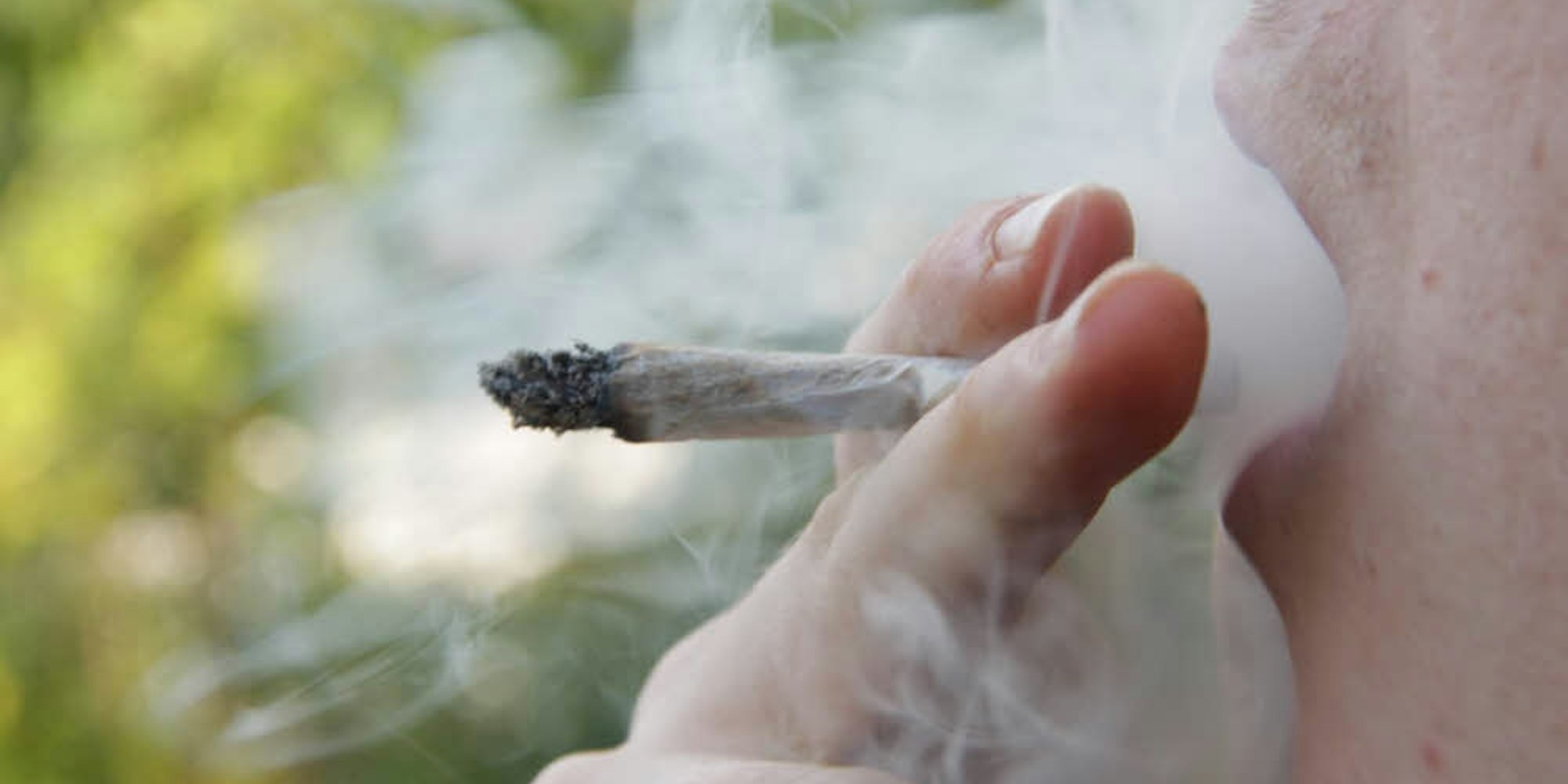 Wie gefährlich ist Cannabis wirklich? Die SPD-Bundestagsabgeordnete Helga Kühn-Mengel fordert dazu eine Enquete-Kommission.
