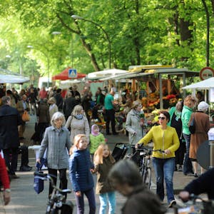 Der Markt im Stadtwald (Archivbild)