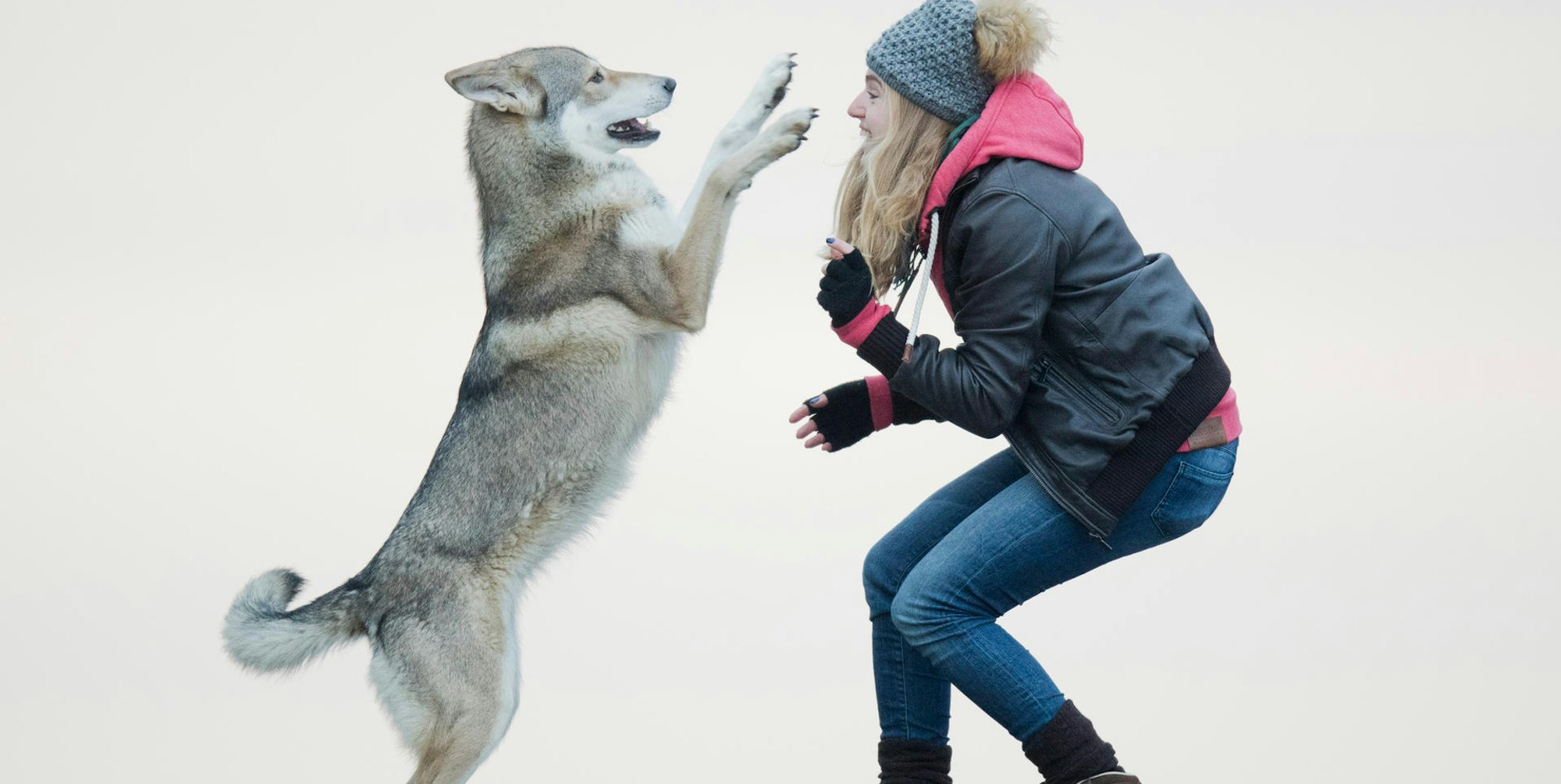 wolfshund elsa