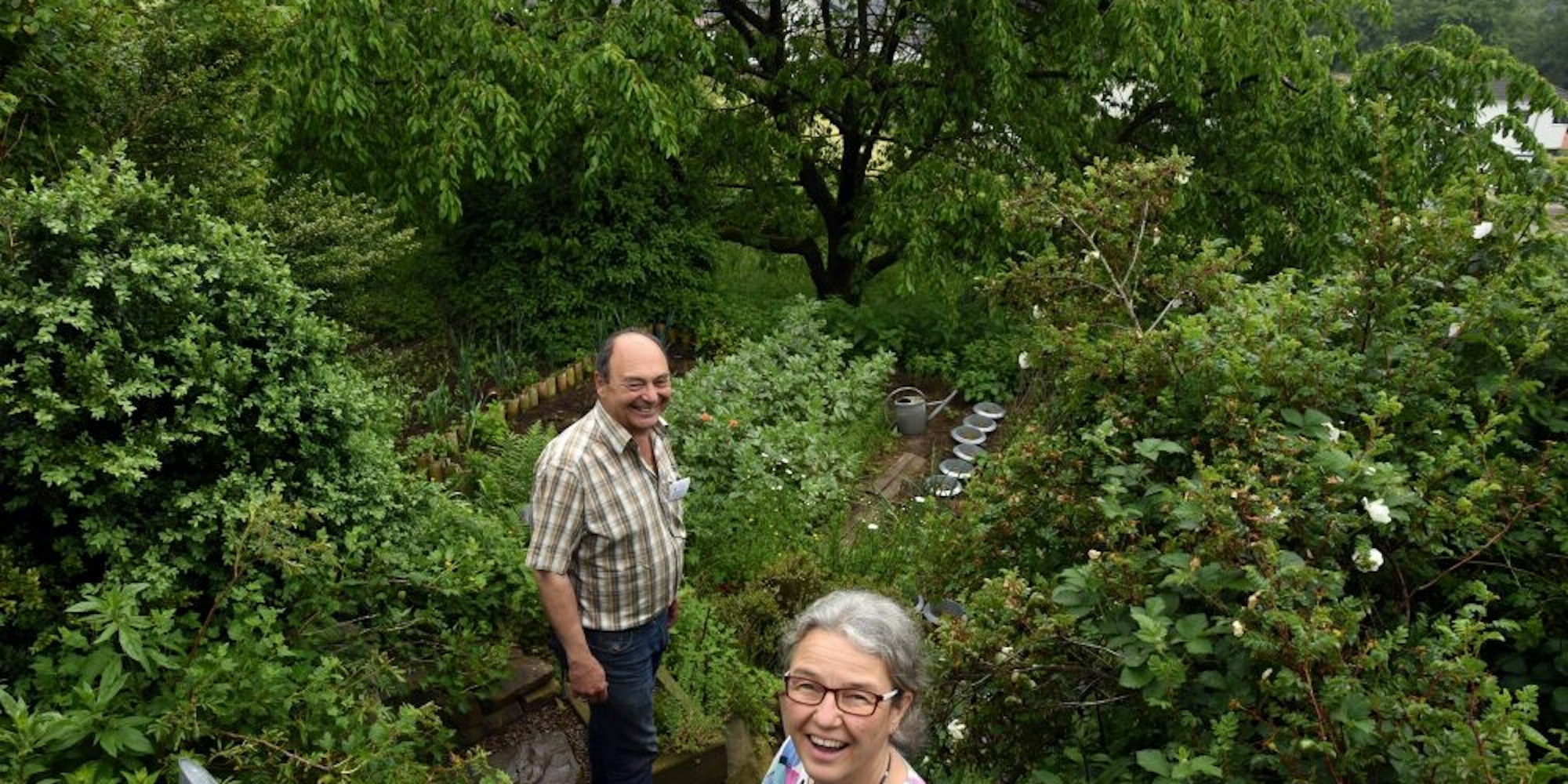 Grauwacke und viel Grün, das ist der Garten von Klaus und Katja Wopfner.