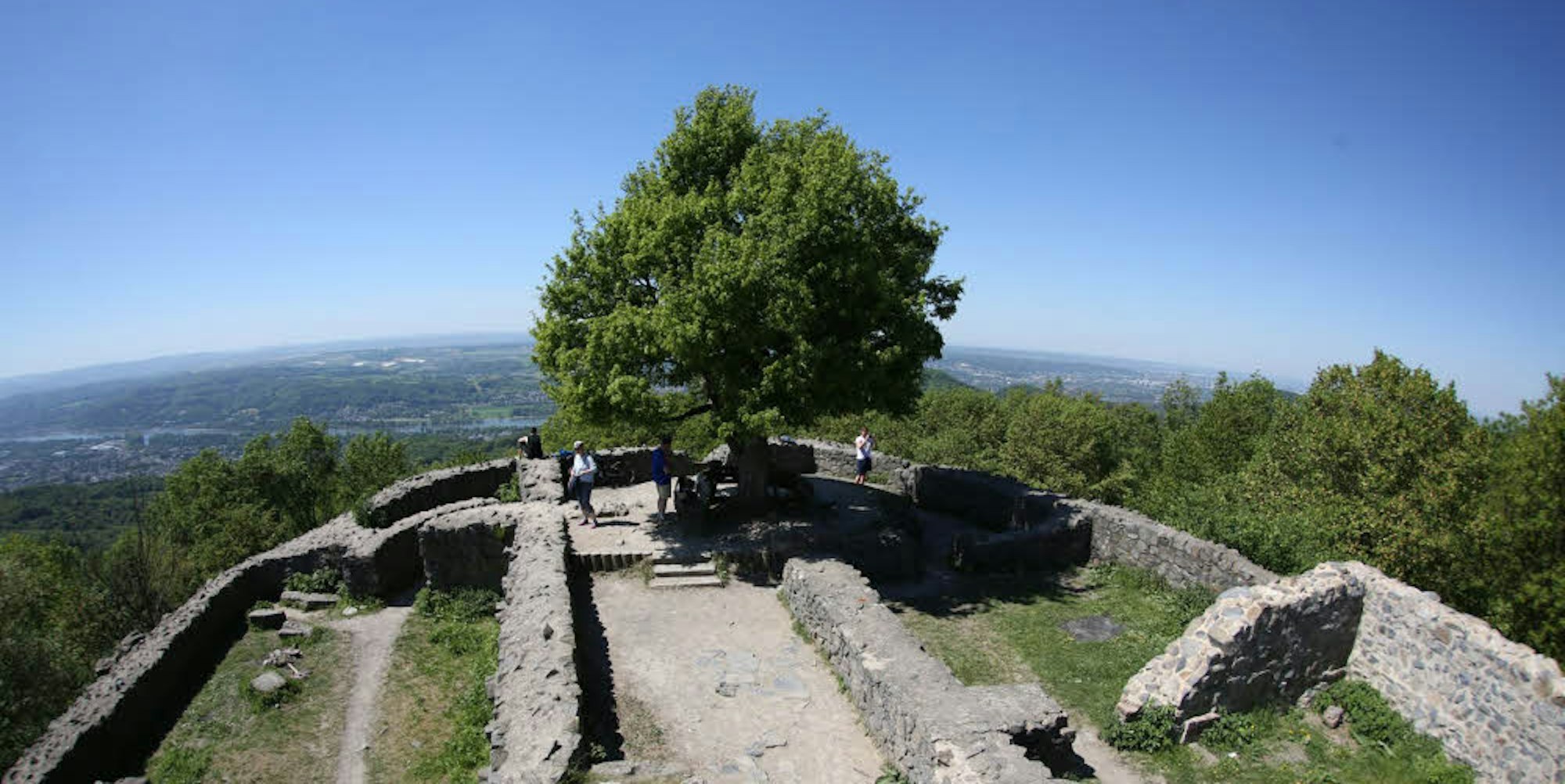 Die Ruine der Löwenburg ist das Ziel. Mit  455 Metern zählt sie zu den höchsten Erhebungen im Siebengebirge.