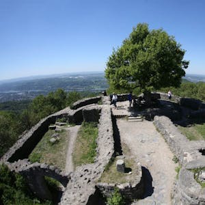 Die Ruine der Löwenburg ist das Ziel. Mit  455 Metern zählt sie zu den höchsten Erhebungen im Siebengebirge.