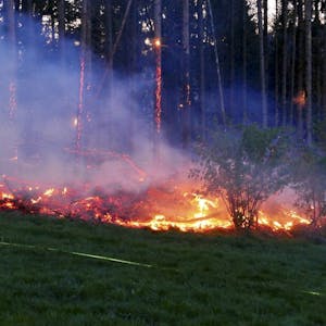 Auf großer Fläche brannte der Waldboden zwischen Wellerscheid und Oberbonrath. Der Rauch war weithin zu sehen.