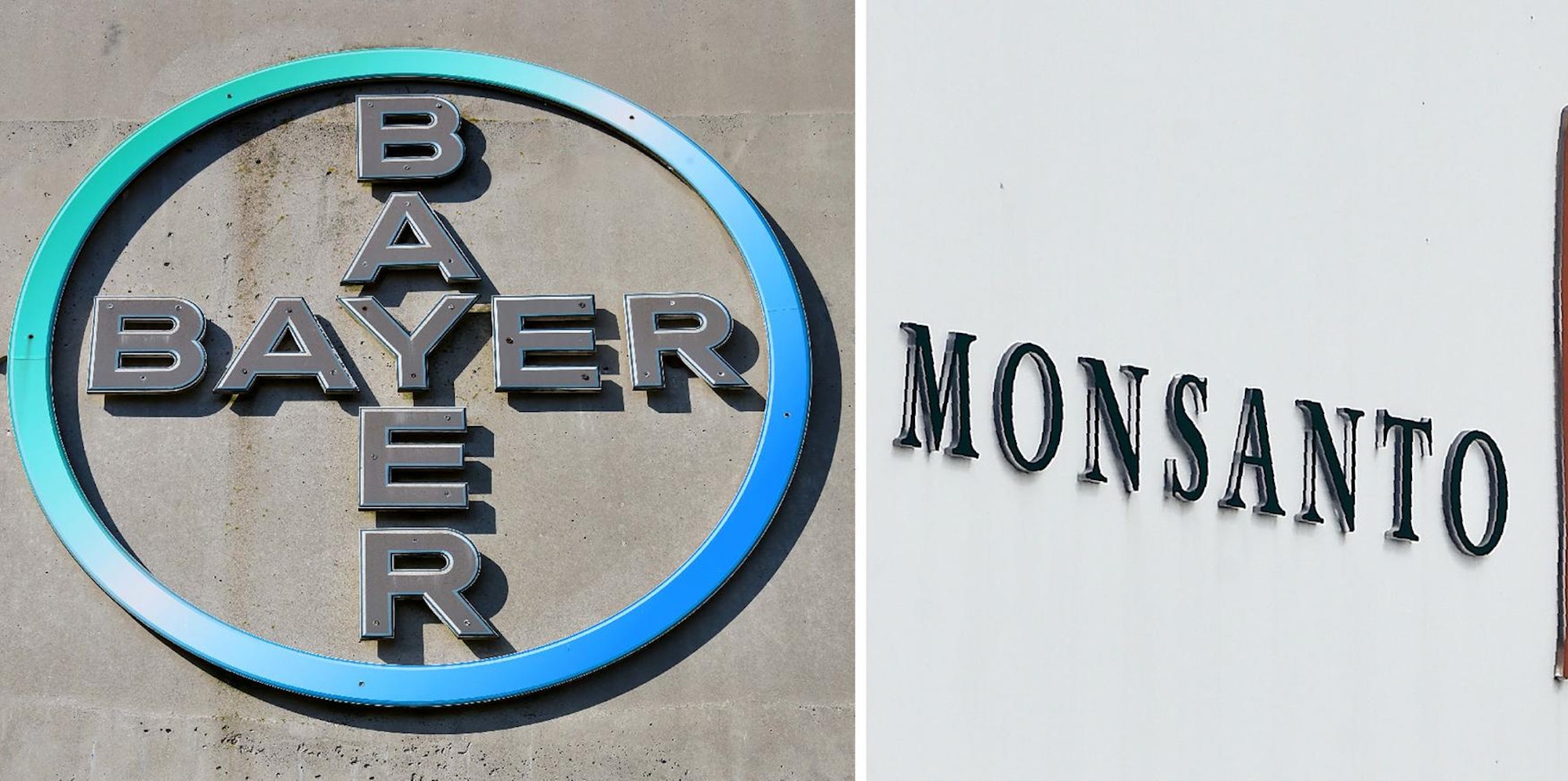 Die Logos von Bayer und Monsanto