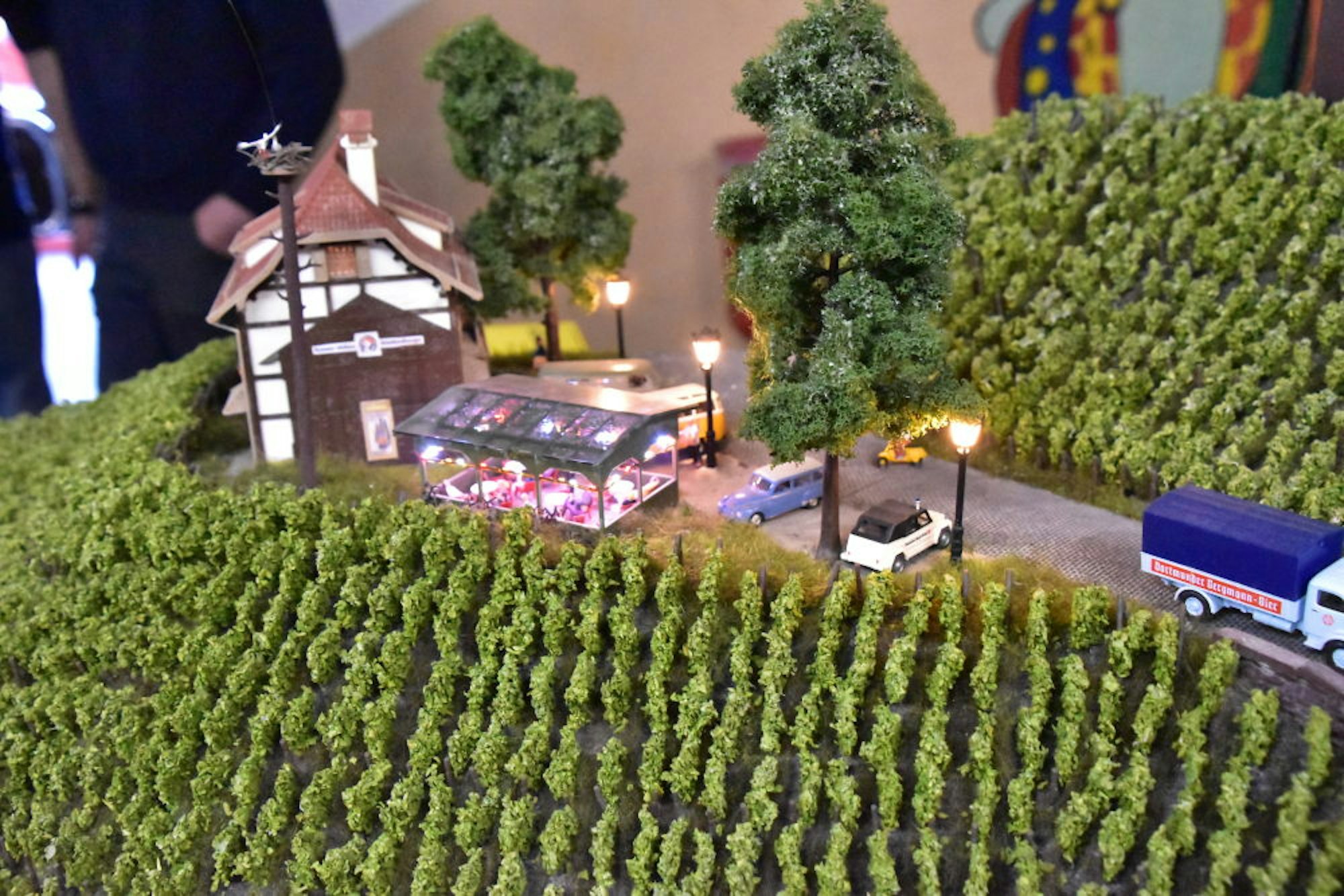 In Reih und Glied präsentierte der Eisenbahnclub Rhein-Sieg 3500 Weinstöcke auf seinem neuen Eckmodul.