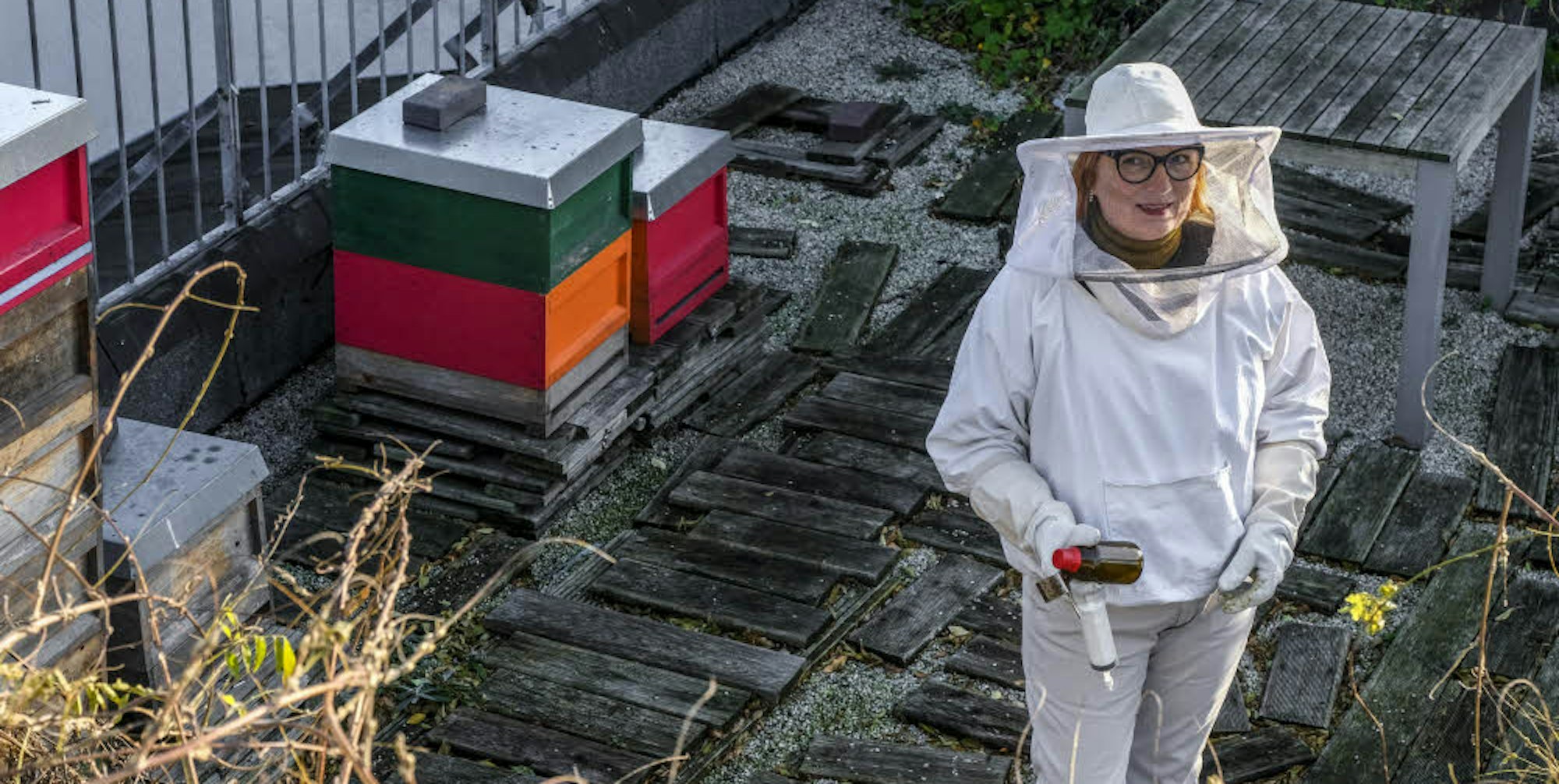 Ein Refugium für Bienen hat Iris Pinkepank auf ihrem Dachgarten gegenüber der Christuskirche geschaffen.