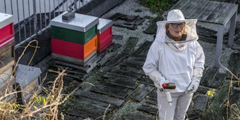 Ein Refugium für Bienen hat Iris Pinkepank auf ihrem Dachgarten gegenüber der Christuskirche geschaffen.