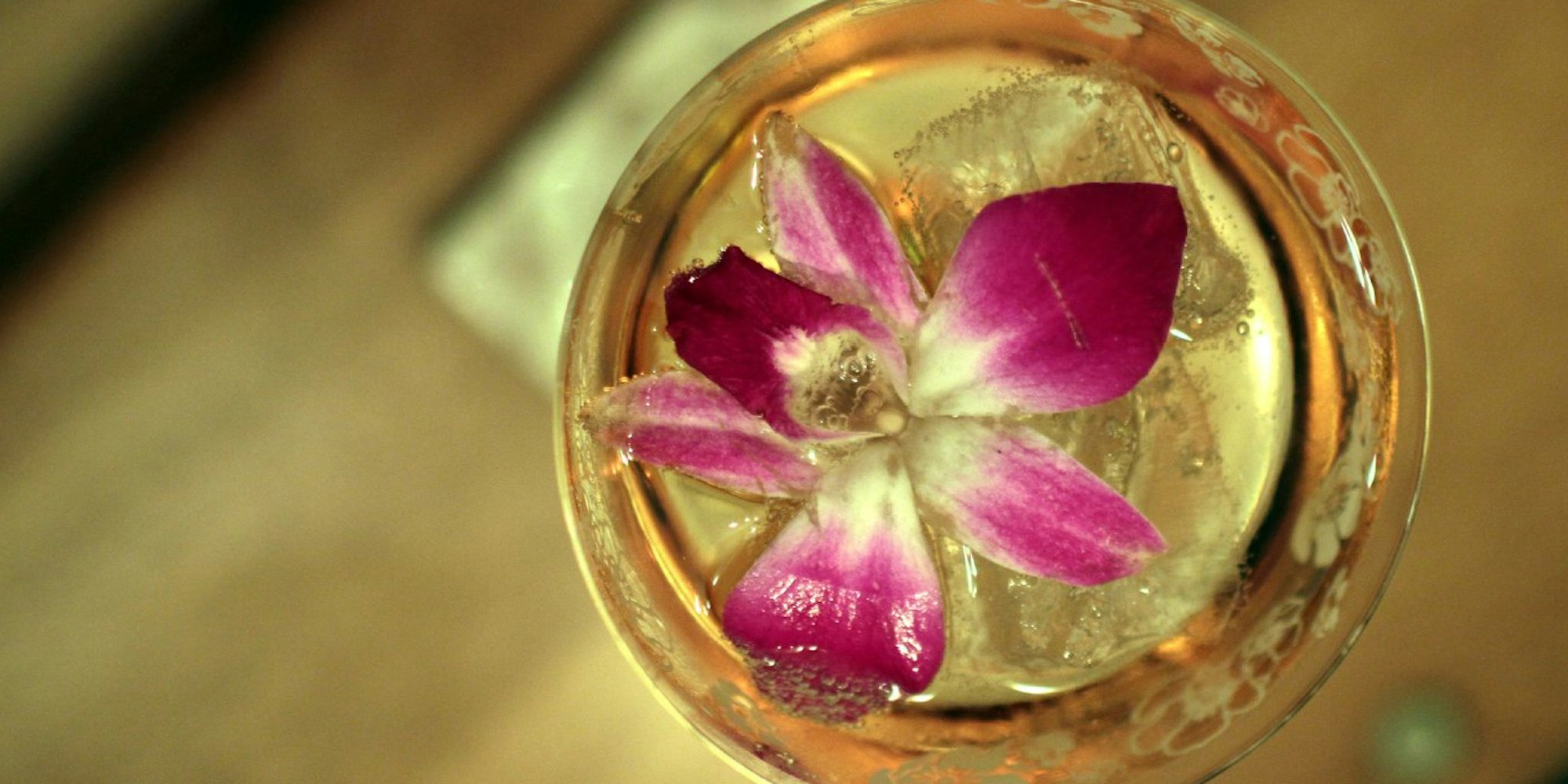 Champagner-Cocktail mit Orchidee gekrönt.