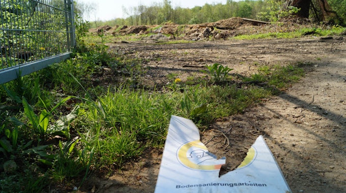 Mitten im Hambacher Wald liegt das Edelhoff-Gelände. Die Altlast soll in den nächsten Monaten abgetragen werden.