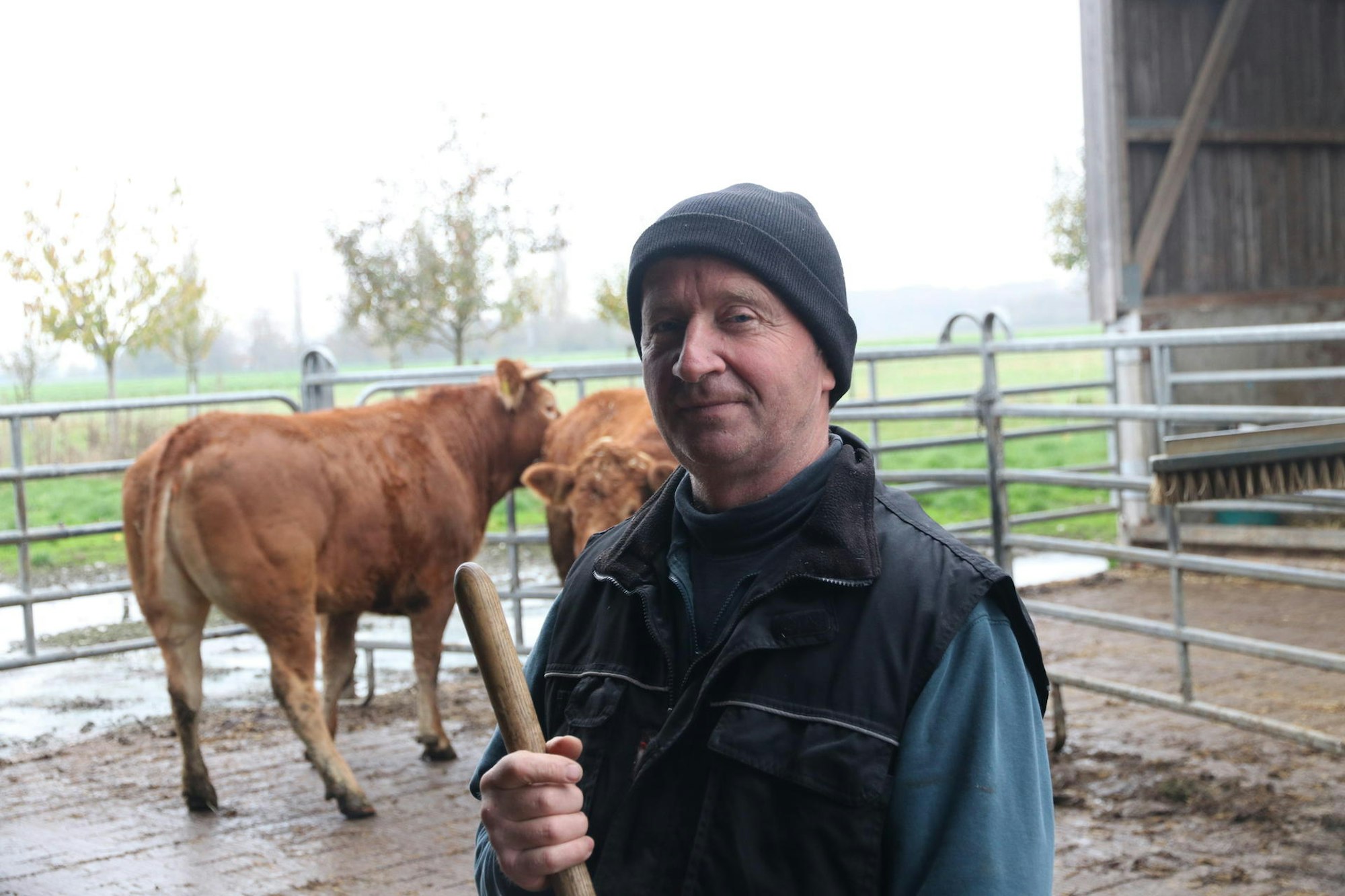 Bio-Bauer Christoph Leiders mit seiner Kuh