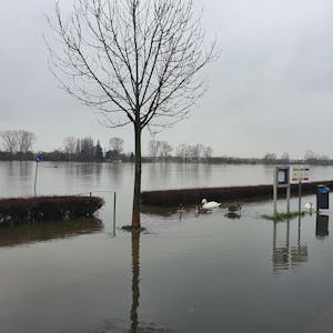 Hochwasser Niederkassel 2 010221