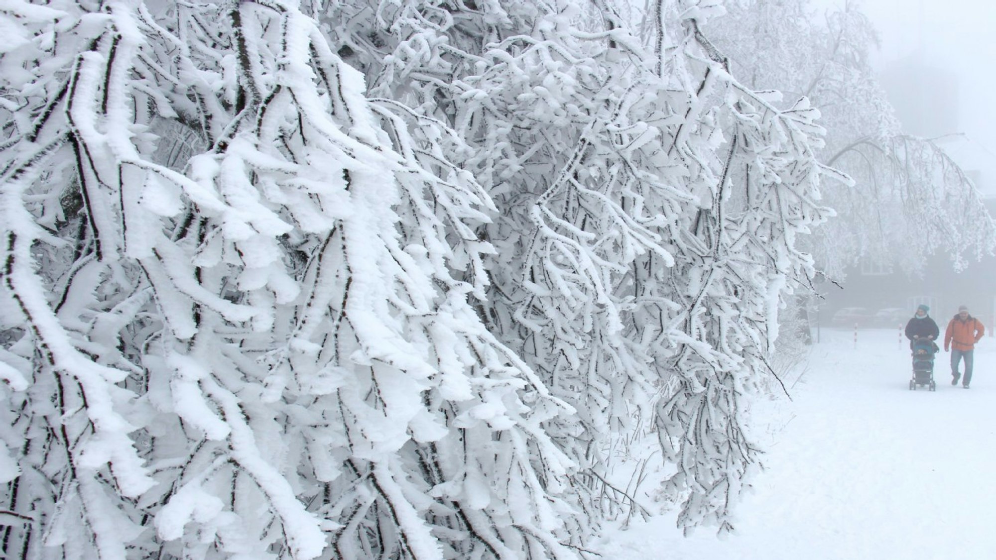 Spaziergänger gehen an schneebedeckten Zweigen am Kahlen Asten vorbei.