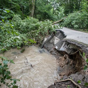 Flutschäden in Biesenbach: Ein gefährlich weggerissener Radweg und unzählige umgestürzte Bäume.