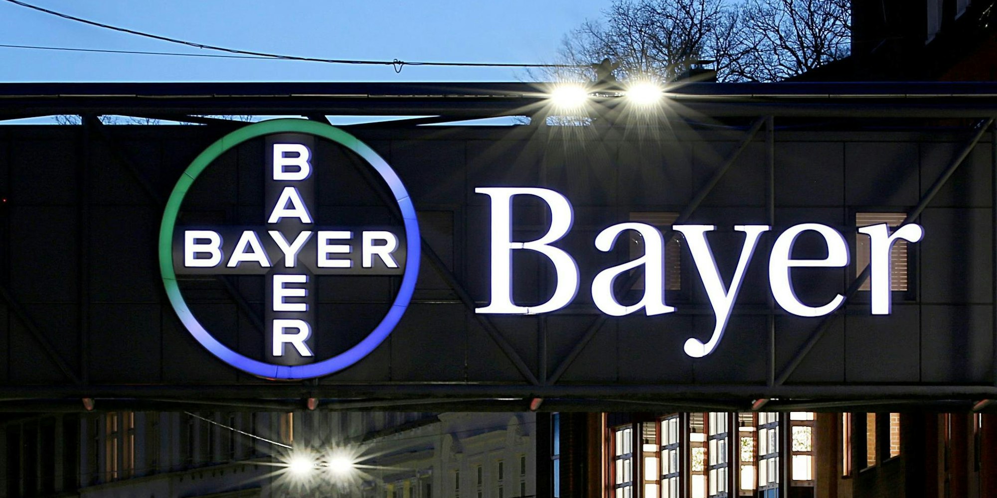 Bayer 210622
