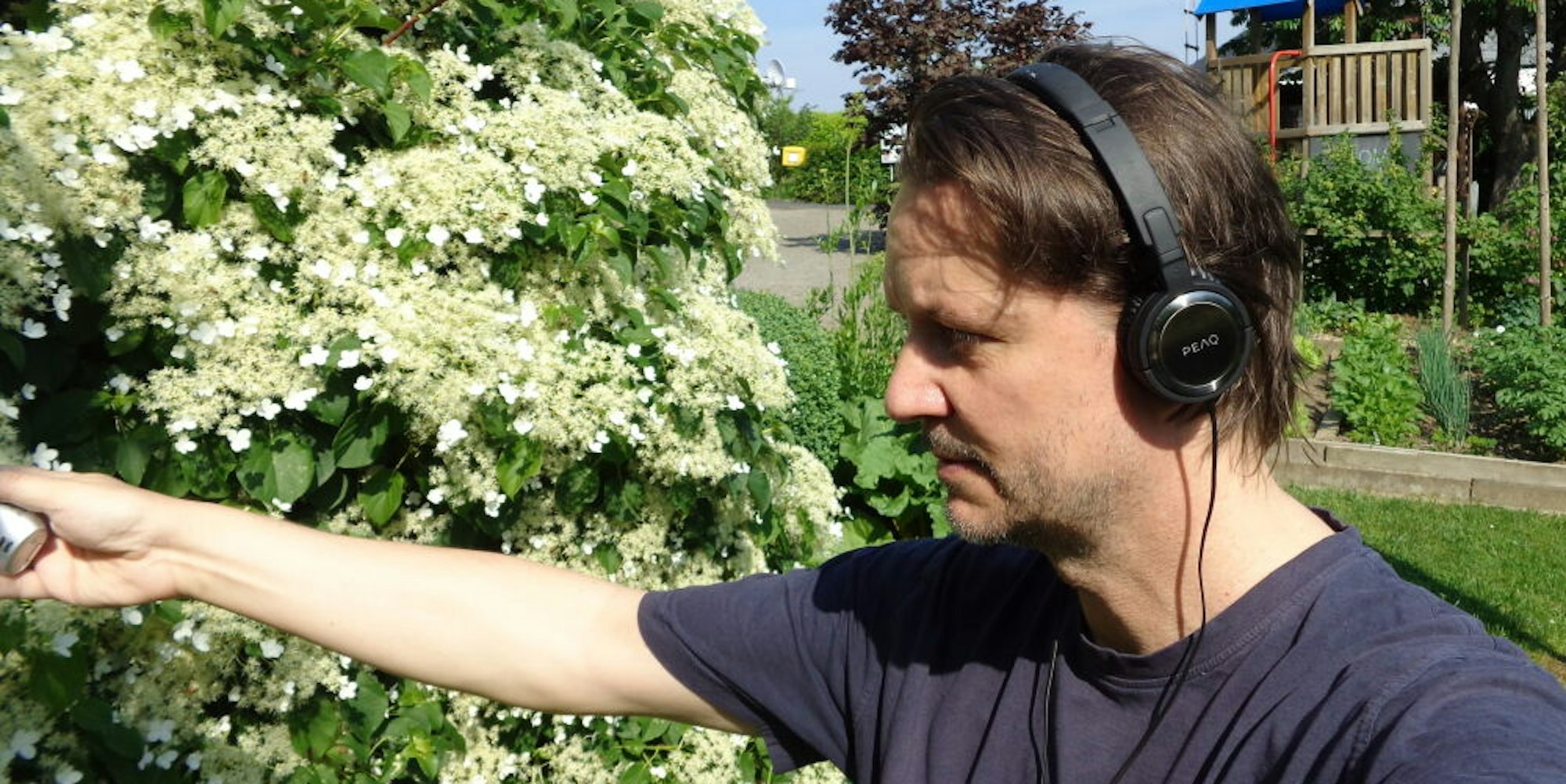 In freier Wildbahn sammelte Nico Walser (56) selbst die Töne, Klänge und Geräusche ein – hier zum Beispiel von Bienen.