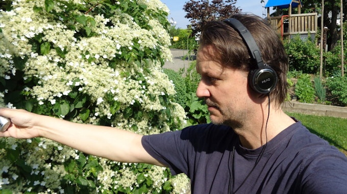 In freier Wildbahn sammelte Nico Walser (56) selbst die Töne, Klänge und Geräusche ein – hier zum Beispiel von Bienen.